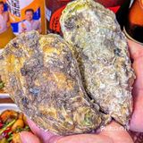 真后悔👉怎么没早点发现这家海鲜烤串啊‼️