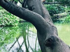 -成都市活水公园