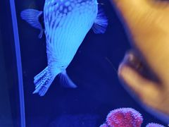 -海合安武汉极地海洋公园