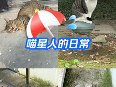 -苏州工学院(东湖校区)