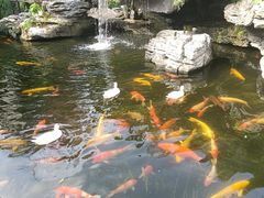-顺德渔村·岭南一号