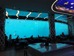 -瑞德姆美人鱼海底演艺主题餐厅(亚龙湾店)
