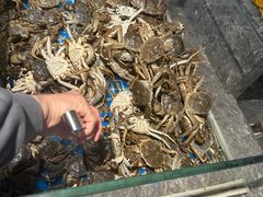 -一方渔歌蒸汽海鲜自助(文化路万达广场店)