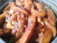 -鲤鱼塘农家山庄