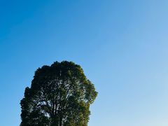 -上海月湖雕塑公园