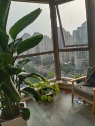 -一个差评成就的纹眉店