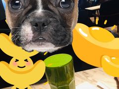 -Bco豆库(星耀天地店)