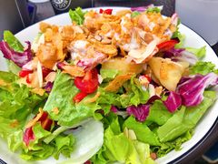 有机蔬菜沙拉-车谷小镇