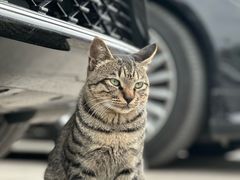 -三江森林温泉度假区