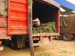 -徐州雨润农副产品全球采购中心