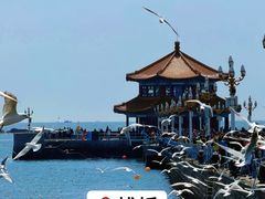 -郑庄脂渣海鲜楼(九水路店)