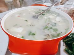 -煲来饱去冷水鱼