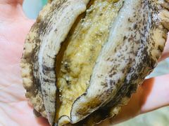 -半岛翡丽海鲜自助餐厅(观风亭店)