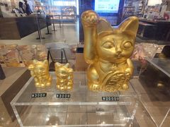 -茑屋书店(天目里店)