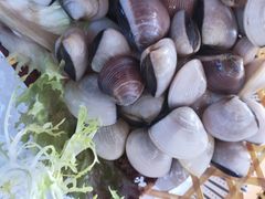 -马家斑.鲜鱼火锅(松湖万科店)