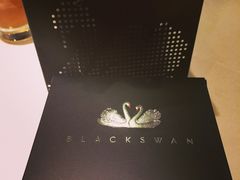-BLACKSWAN黑天鹅(环球店)