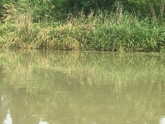 -长兴太湖图影湿地文化园