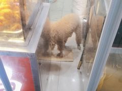 -春苗炸鸡