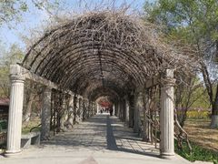 -大兴滨河森林公园