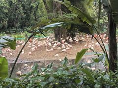 -广州长隆国际大马戏