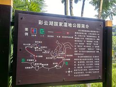 -重庆彩云湖湿地公园