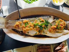 -羲和雅苑•北京烤鸭(平安国际金融中心店)