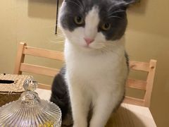 -白兔子密室(长寿路店)