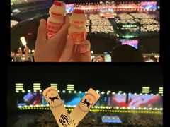 -南京奥林匹克体育中心