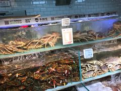 -超级物种(省府店)