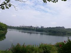 -广东花都湖国家湿地公园