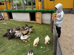 -前小桔亲子创意农场·草莓采摘·露营烧烤