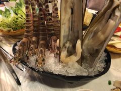 -鲜入围煮花胶鸡海鲜火锅