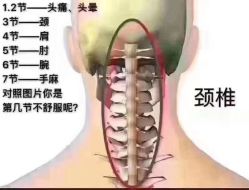 -慕拉美甲美睫皮肤管理