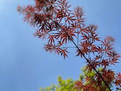 -杭州半山国家森林公园