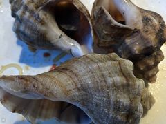 -海味当家·蒸锅海鲜(星海公园店)