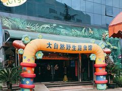 -上海大自然野生昆虫馆(东方明珠·爬宠昆虫探索中心)