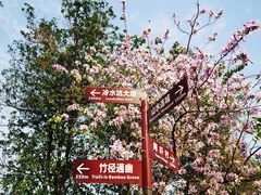 -阳台山森林公园