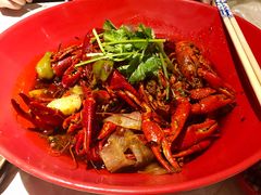 冰镇小龙虾-红辣椒·川菜·火锅(科华路店)