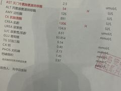 -半岛宠物医院24小时(科华中路店)
