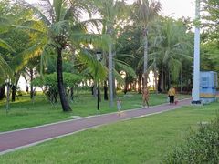 -三亚湾海居铂尔曼度假酒店