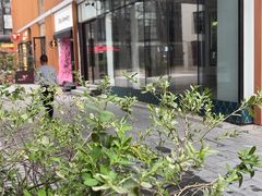 -观心实验室·心理咨询(徐汇店)