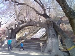 -水磨沟公园