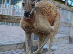 -水上乐园·欢乐世界