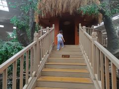 -南宫五洲植物乐园