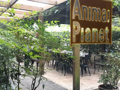 -旅马餐厅(茅家埠店)