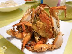 -莲花公园煎蟹(总店)