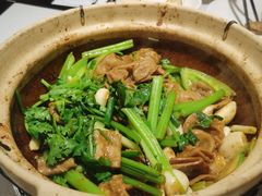 肥肠煲-煲煲好(朝阳门店)