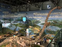 -自贡恐龙博物馆