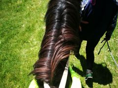 景点-祁连山草原