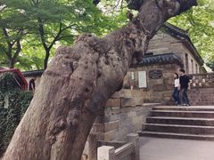 -青岛崂山太清宫